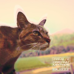 Siamese Dreams Mixtape