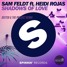Shadows Of Love (ft. Heidi Rojas)