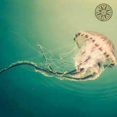 Seasidetrip 83 | dancing jellyfish | Landhouse & Raddantze