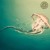 Artwork for Seasidetrip 83 | dancing jellyfish | Landhouse & Raddantze