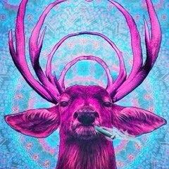 Buckphat - Lava Mandala (Demo)