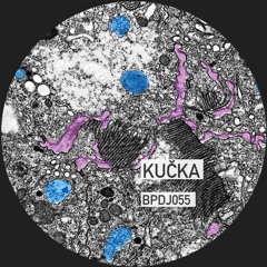 ~ KUČKA Guest Mix ~