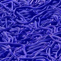 Blue Snakes (prod. Fobos)