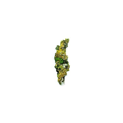 PLANCOMP001 Mind Against - LongBrightDark