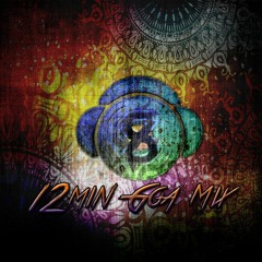 12min  Progressive Goa Mix