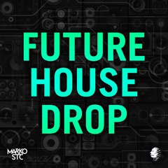 Marko Stc's Future House Drop + FLP, Presets & Tutorial [FREE]