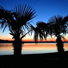 Heatwave By DJ Timmey