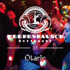 Meerespott #53 - Otarie