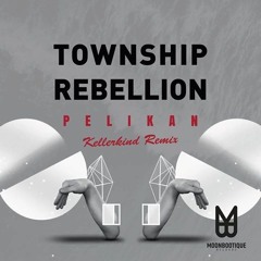 Township Rebellion - Pelikan (Kellerkind Remix) **OUT NOW**