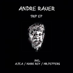 Andre Rauer - Trip (A.P.T.A Remix)