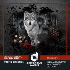 Digital Session  ,Vincent Hiest - Wrong Direction (Alen Milivojevic Remix)