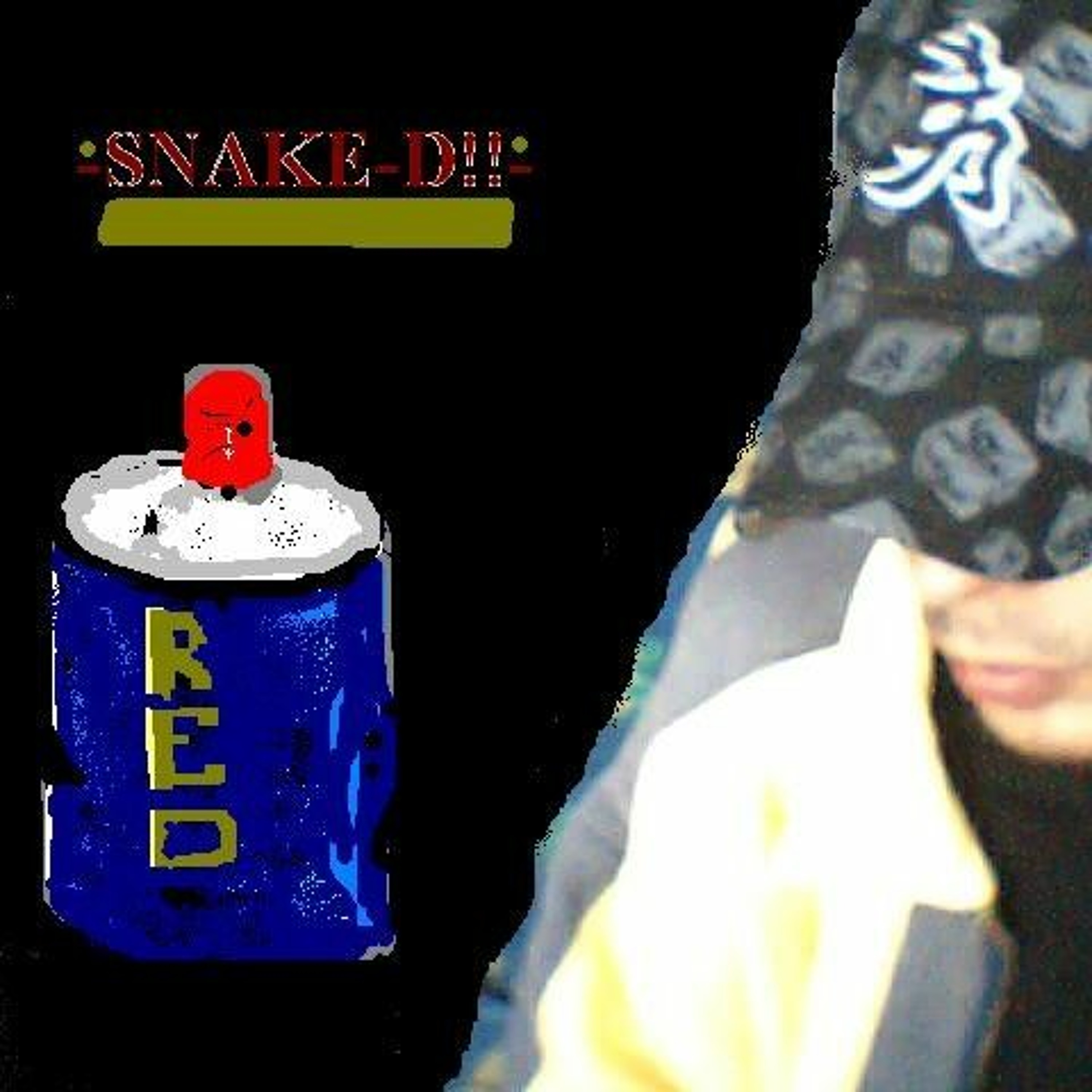 =snAKe-d47!!=