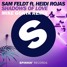 Shadows Of Love (ft. Heidi Rojas) (Mike Gonta Remix)