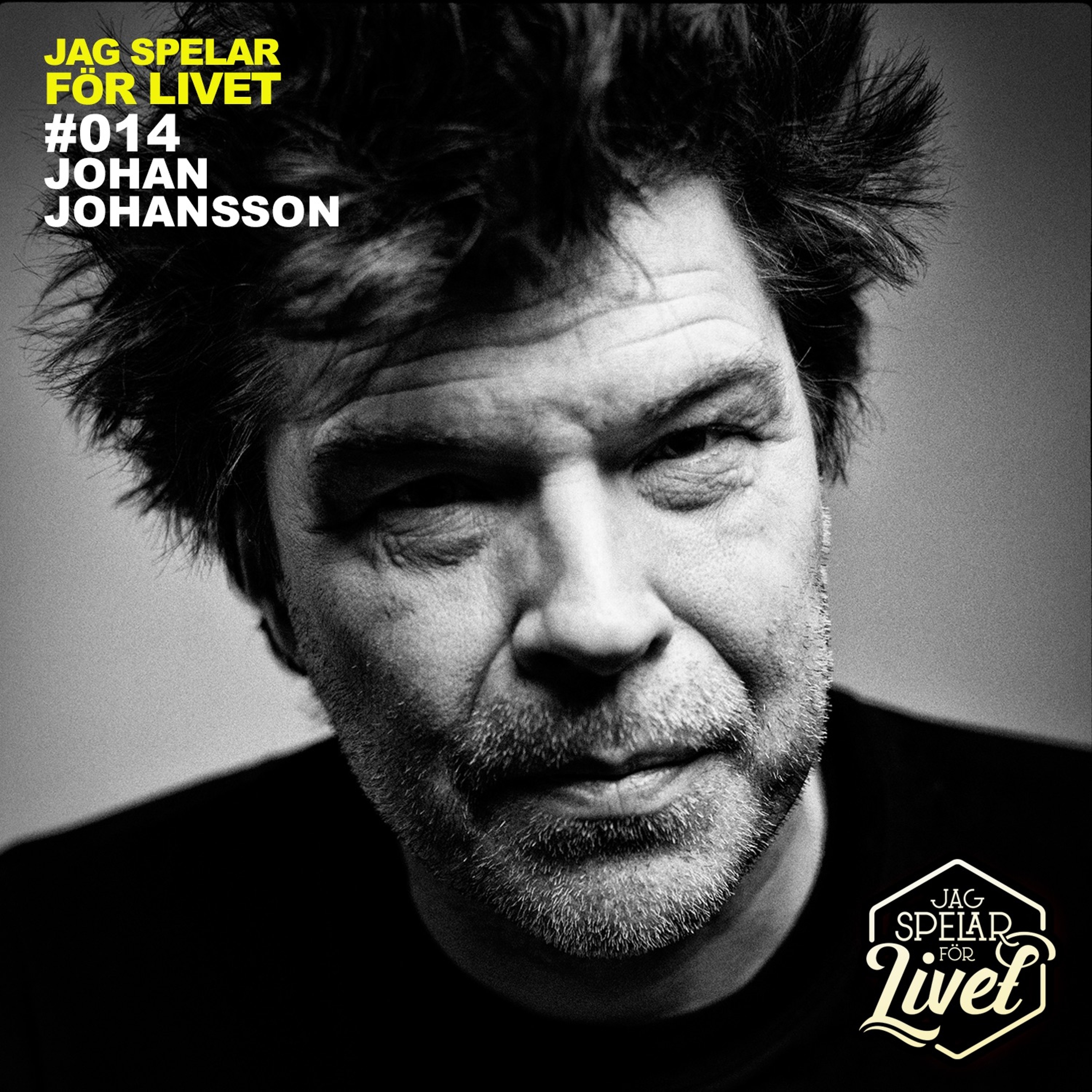 Jag Spelar för Livet - Musiker om Musik