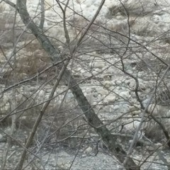 UNKNOWN2-VAN X ROCKY M.mp3