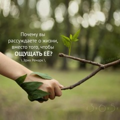 Цитата о жизни