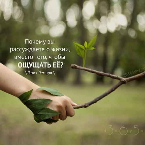 Цитата о жизни