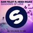 Shadows Of Love (ft. Heidi Rojas)