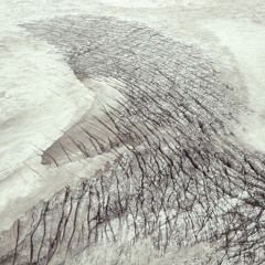 WOOD ORGANIZATION - Cello, Basses, Percussion And Electronics