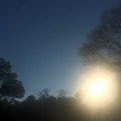 Dead Venus Blue - Acid Bath