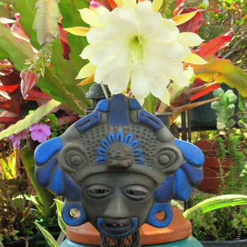 Sub-Unconscious - C.T.U