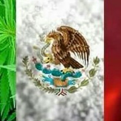 Welcome to the south #surladoent #lvlife ent...(fokus n chato: