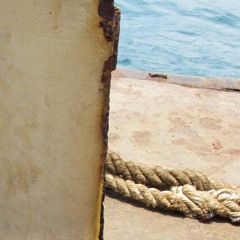 Miracle Aligner - The Last Shadow Puppets (Cover)