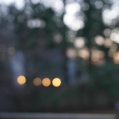 Through the Leaves