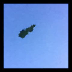 Remember Me (feat. Adrian) ((DEMO))