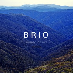 01 - Aubrianna Nicole - Life Is So Amazing