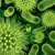 Artwork for Epstein Barr Virus Revealed - Radio Show Archive