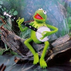 Rainbow Connection (Muppets cover)