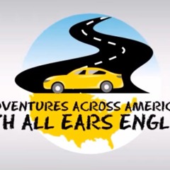 All Ears w/ All Ears English