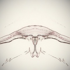 Standard Syndication Speed Sketch