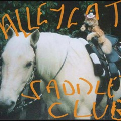 Alley Cat Saddle Club Booty