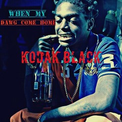 When My Dawg Come Home(Kodak Black)Str8 Heat!!