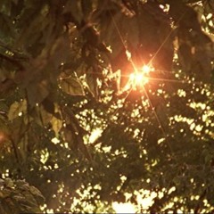 Playground Love (Recreation)