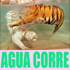 agua corre