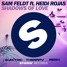 Shadows Of Love (ft. Heidi Rojas) (Electric Therapy Remix)