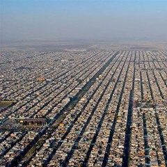 Pedro and The Lion Options (cover)