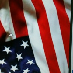 Ventura Highway cover - America