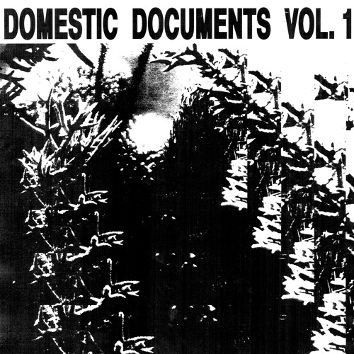 Multiple Man - Self Servant (Preview)