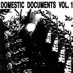 Domestic Documents Vol 1: Compiled by Butter Sessions + Noise In My Head (DD01) OUT NOW
