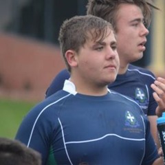 All Apologies (opening)