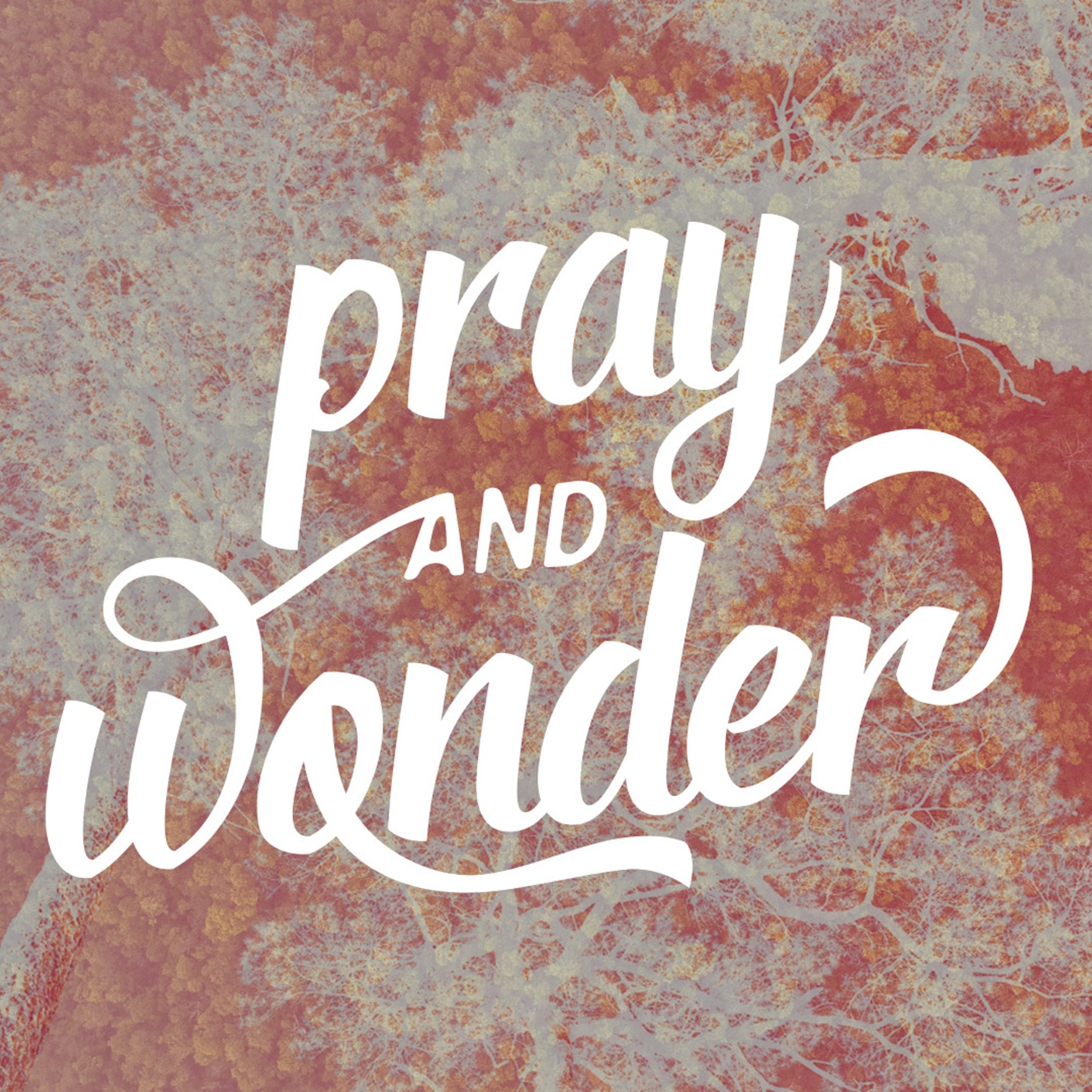 Audio Podcast #27 // Pray And Wonder - Denke Langfristig // 29.05.2016 episode artwork