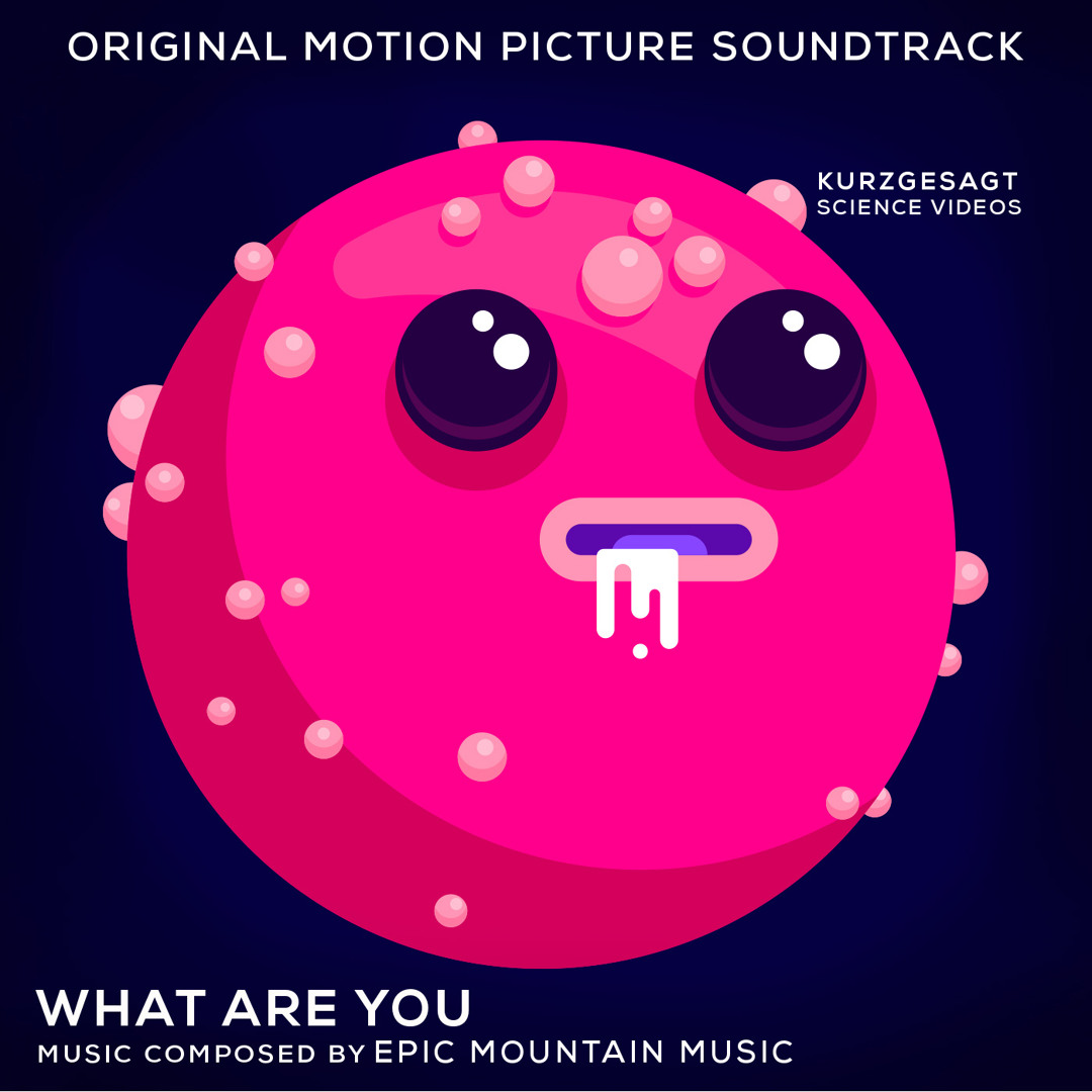 Stream What Are You by Epic Mountain | Listen online for free on SoundCloud