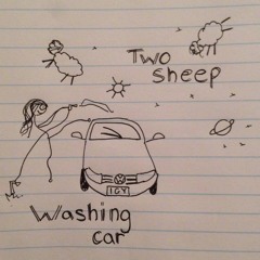 I W@s Washing My Car Out The Front And Two Sheep Walked Past On The Footpath
