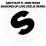 Shadows Of Love ft. Heidi Rojas (Feelix Remix)