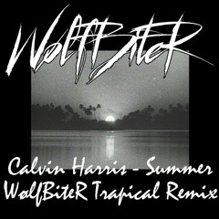 Calvin Harris - Summer (WOLFBITER Trapical Remix)