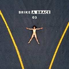 ◉ BRIKE A BRACE #03 ◉ {house}